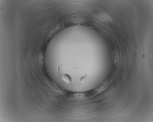 X0000071910279200607281836