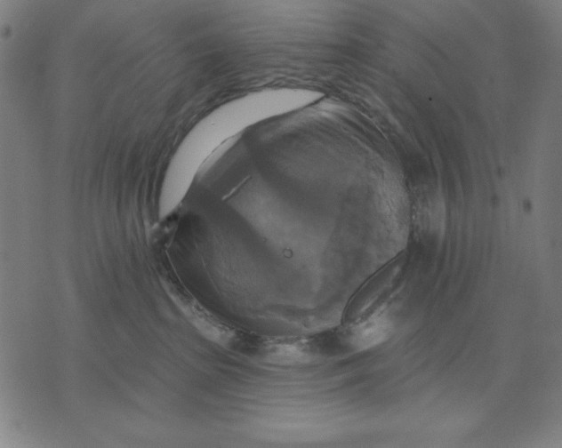 X0000071910285200607281836