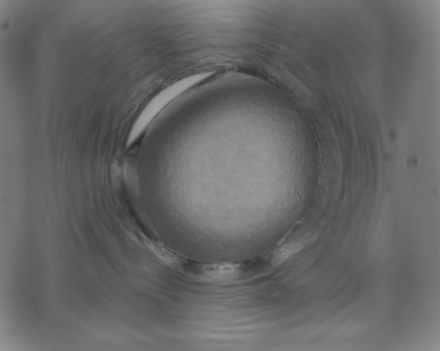 X0000071910288200607281836