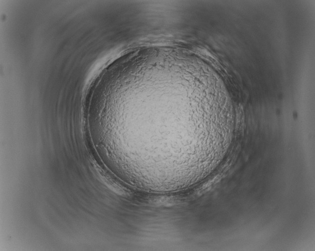 X0000071910293200607281835