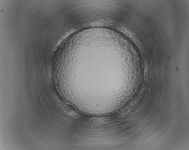 X0000071910297200607281835