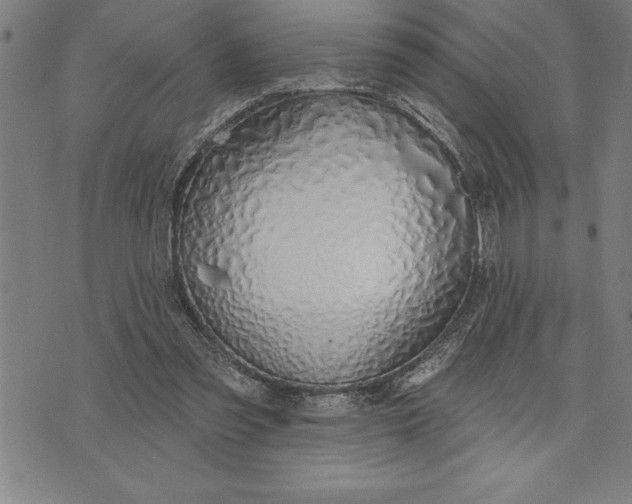 X0000071910301200607281835
