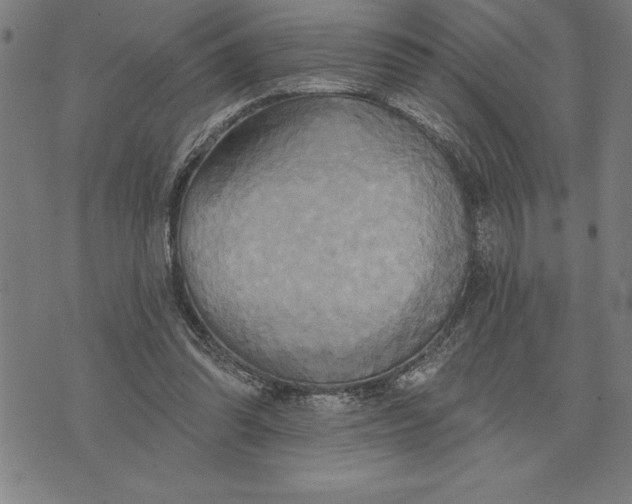 X0000071910302200607281835