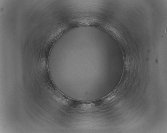 X0000071910314200607281835