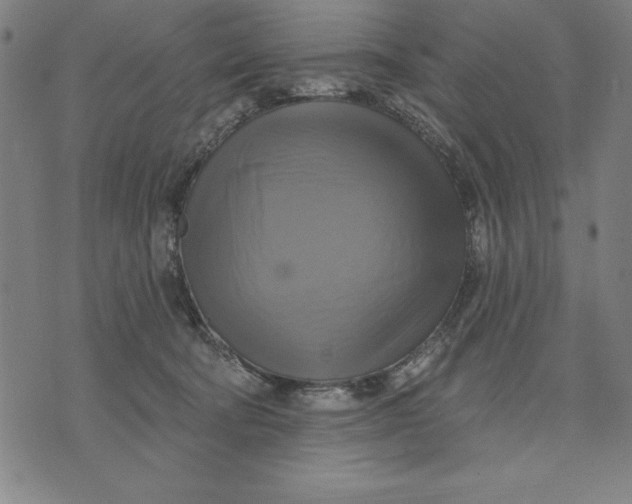 X0000071910322200607281835