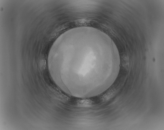 X0000071910324200607281835