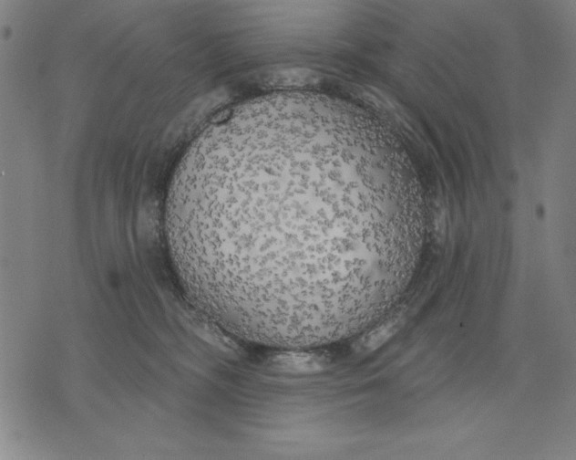 X0000071910326200607281835