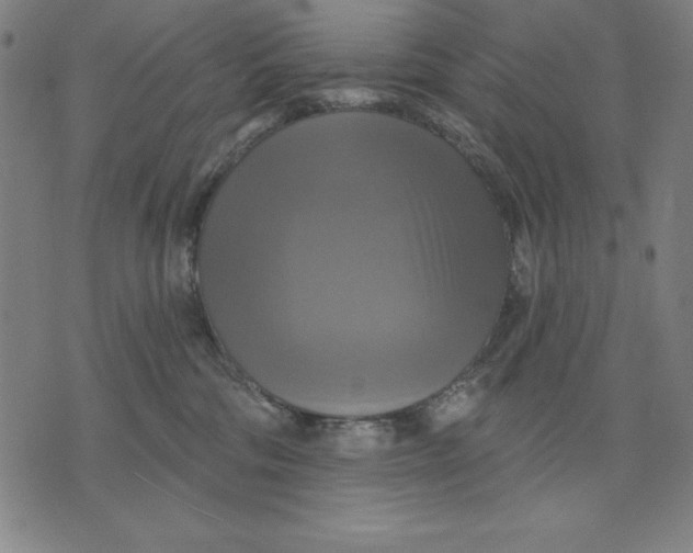 X0000071910330200607281835