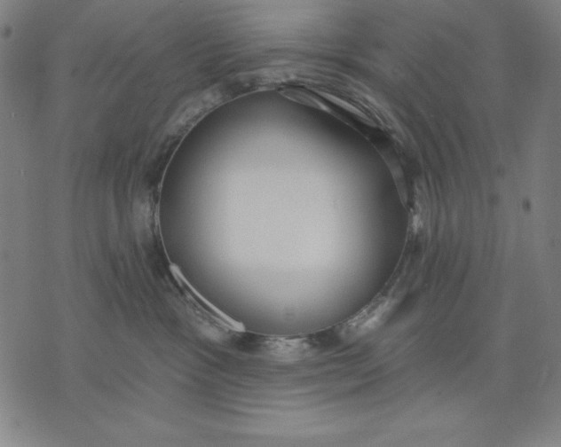 X0000071910333200607281834