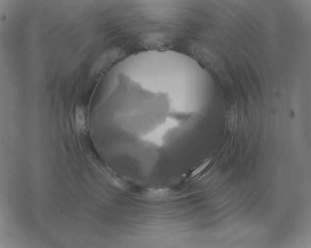 X0000071910335200607281834
