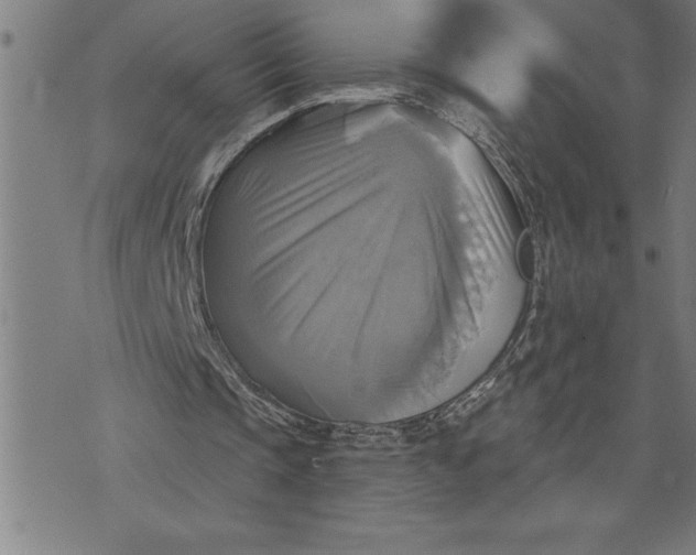 X0000071910337200607281834