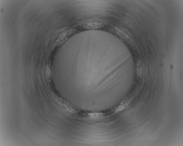 X0000071910371200607281834