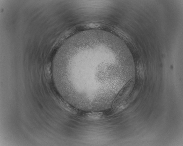 X0000071910373200607281834