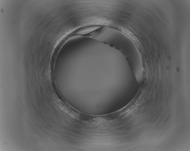 X0000071910391200607281834