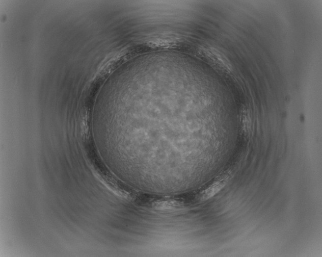 X0000071910408200607281833