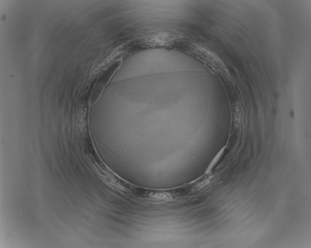 X0000071910409200607281833