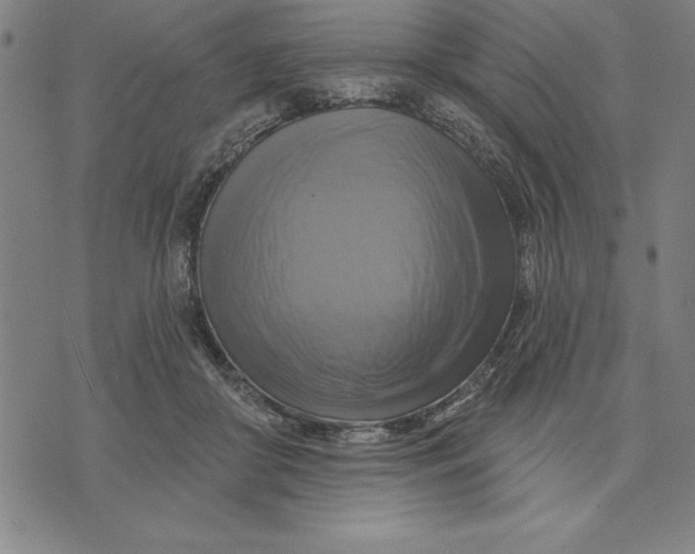 X0000071910410200607281833