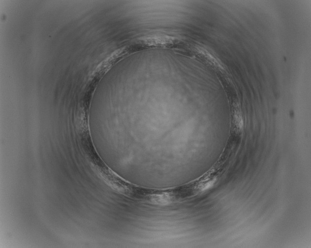 X0000071910411200607281833