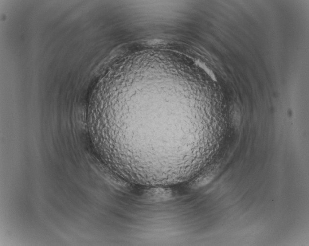 X0000071910421200607281833