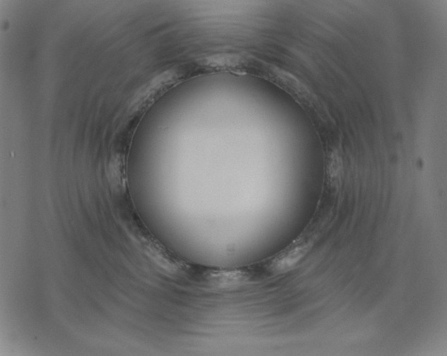 X0000071910428200607281833