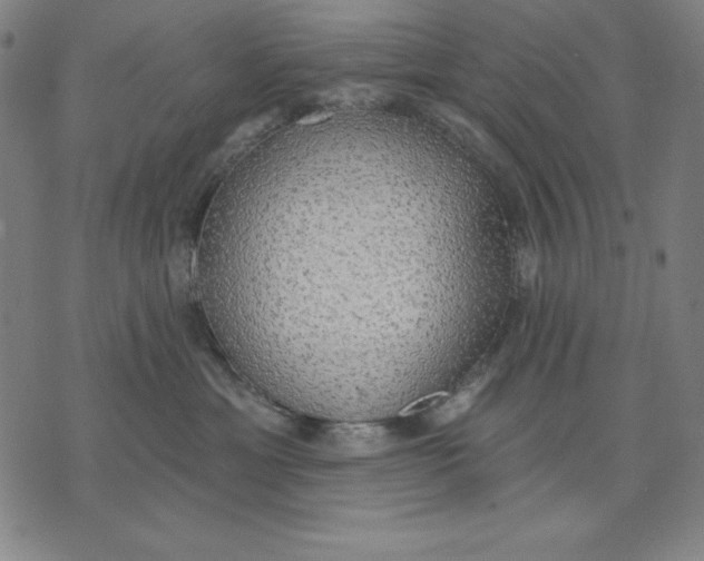 X0000071910429200607281833