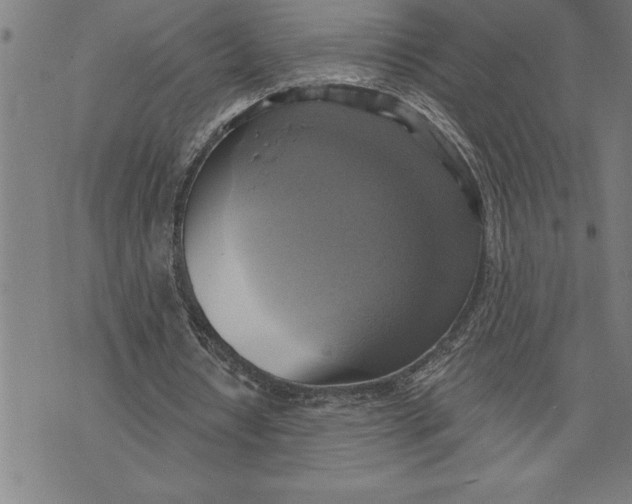 X0000071910434200607281832