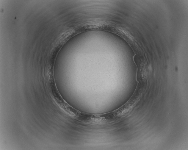 X0000071910455200607281832