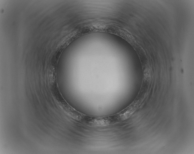 X0000071910464200607281833