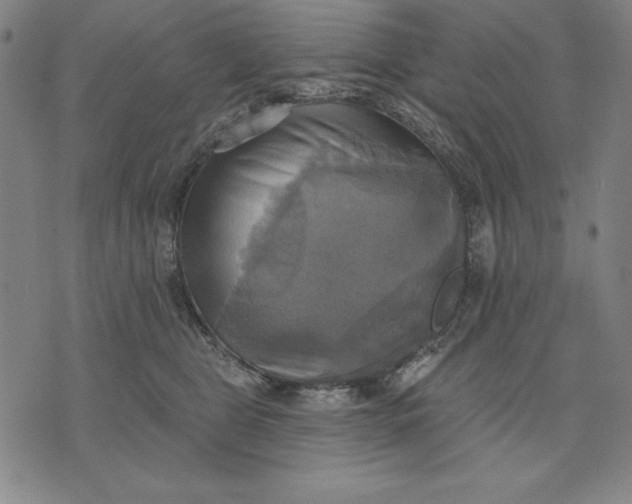 X0000071910469200607281833