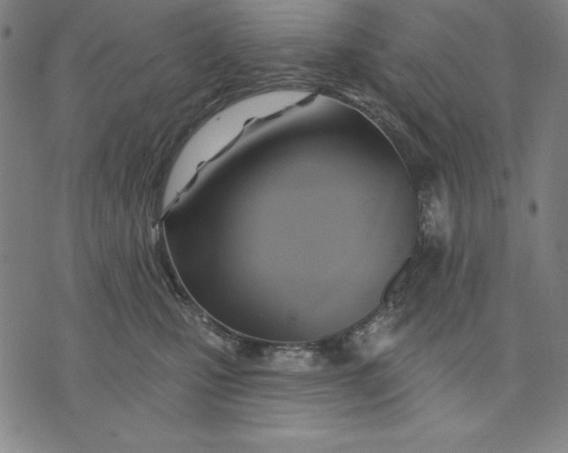 X0000071910471200607281833