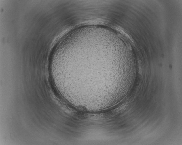 X0000071910486200607281832
