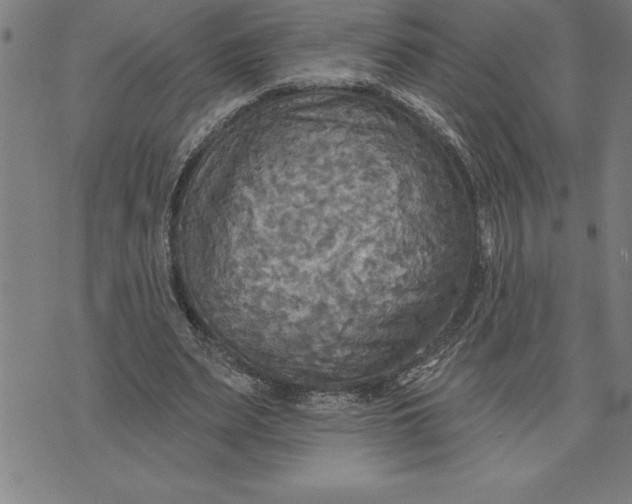 X0000071910487200607281832