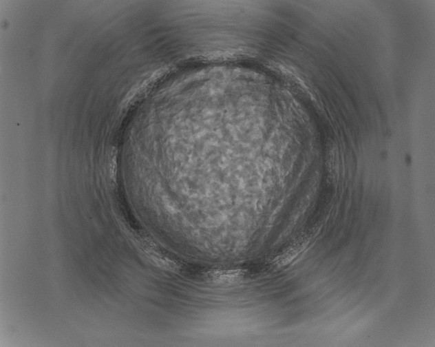 X0000071910495200607281832