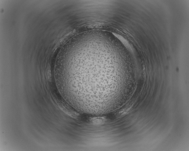 X0000071910508200607281832