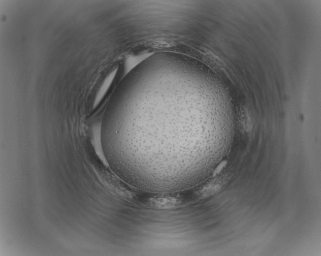 X0000071910512200607281832