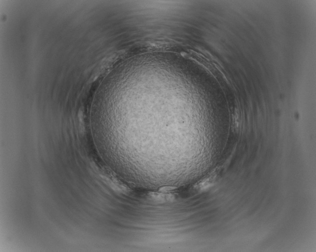 X0000071910520200607281831