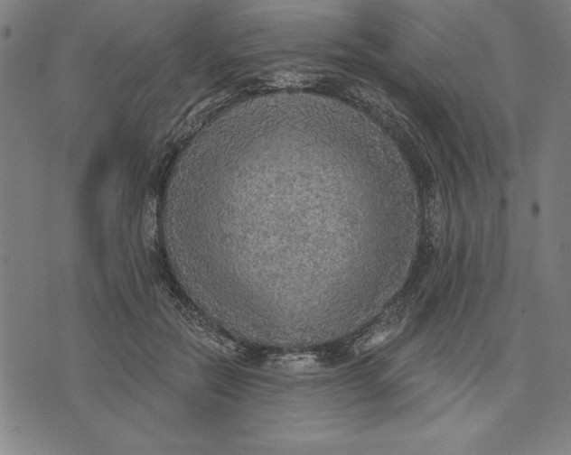 X0000071910554200607281831
