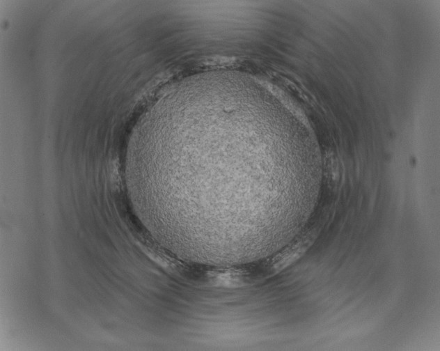 X0000071910564200607281831