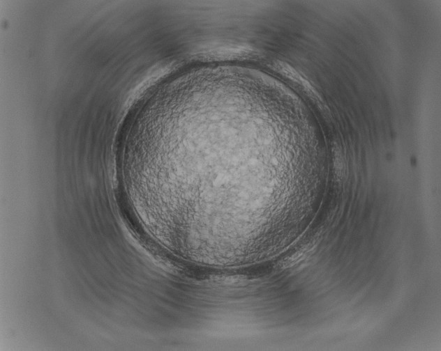 X0000071910582200607281830