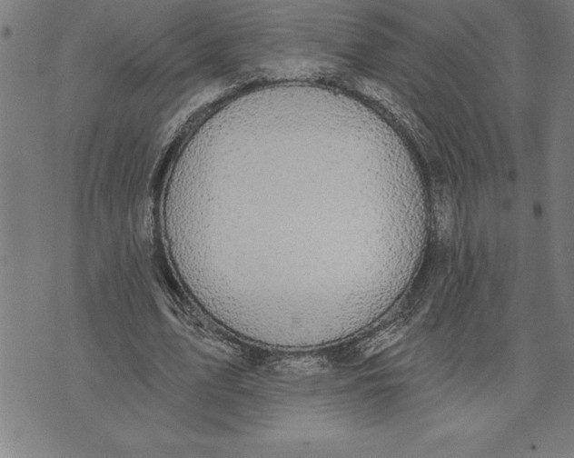 X0000071910583200607281830