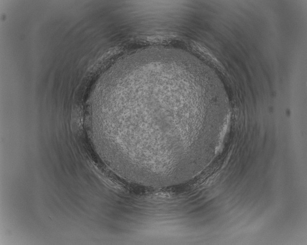X0000071910593200607281830