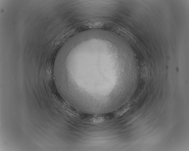 X0000071910604200607281830