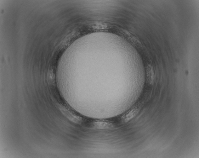 X0000071910614200607281830
