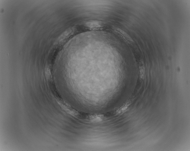X0000071910618200607281830
