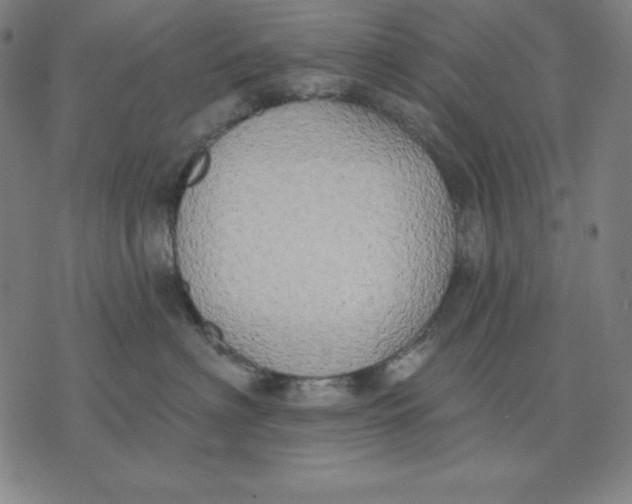 X0000071910622200607281830