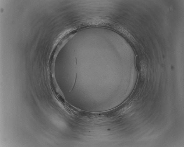 X0000071910626200607281829