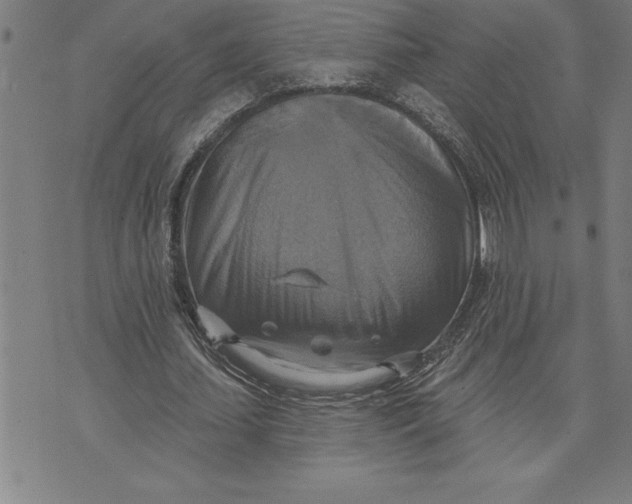 X0000071910627200607281829