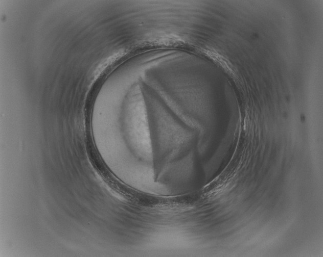 X0000071910630200607281829