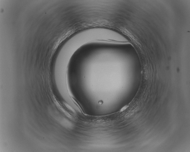 X0000071910634200607281829