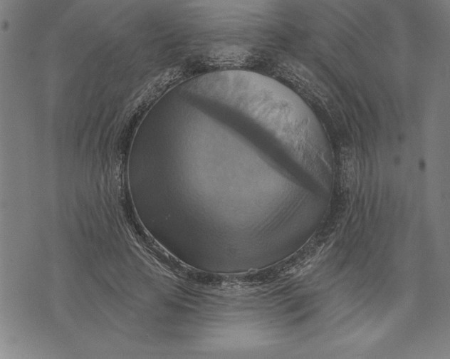 X0000071910641200607281829
